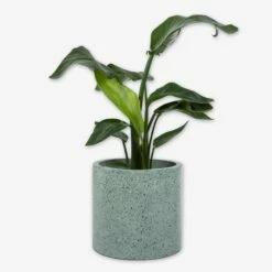 Pot Cement Terrazzo Ø27 Eucalyptus -GRANIT Verkäufe 401497 31872