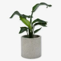 Pot Cement Terrazzo Ø27 Sand -GRANIT Verkäufe 401499 31876