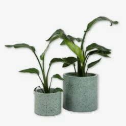 Pot Cement Terrazzo Ø19 Eucalyptus -GRANIT Verkäufe 401500 31873