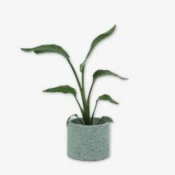 Pot Cement Terrazzo Ø19 Eucalyptus -GRANIT Verkäufe 401500 31880