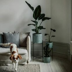 Pot Cement Terrazzo Ø19 Eucalyptus -GRANIT Verkäufe 401500 31957