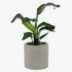 Pot Cement Ø27 Sand 8 Pot Cement Ø27 Sand -GRANIT Verkäufe 401503 31890