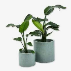 Pot Cement Ø19 Eucalyptus -GRANIT Verkäufe 401504 31887