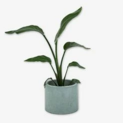 Pot Cement Ø19 Eucalyptus -GRANIT Verkäufe 401504 31894