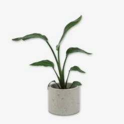 Pot Cement Ø19 Sand -GRANIT Verkäufe 401505 31897