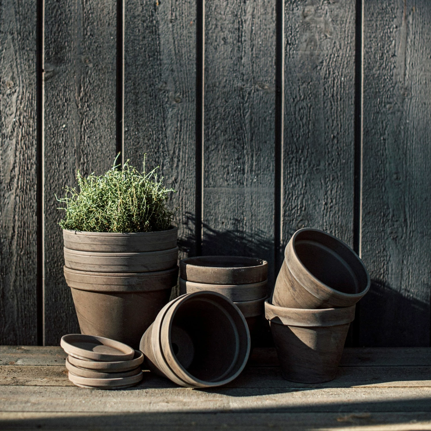 Untersetzer Terrakotta Ø 11 Cm 6 Untersetzer Terrakotta Ø 11 Cm – Bild 4