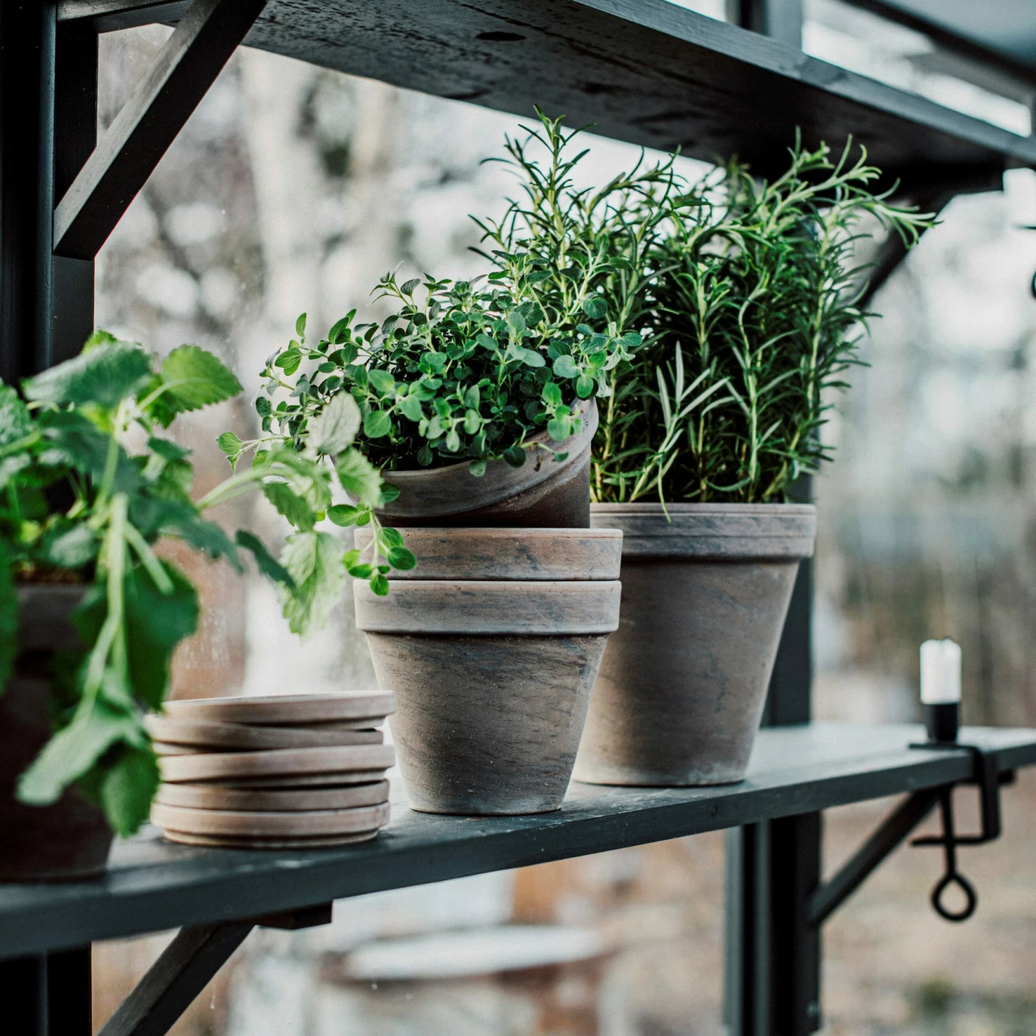 Untersetzer Terrakotta Ø 11 Cm 8 Untersetzer Terrakotta Ø 11 Cm – Bild 6