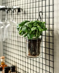 S-Haken Eisen 5 Cm 5er-Pack Schwarz -GRANIT Verkäufe 401789 37620