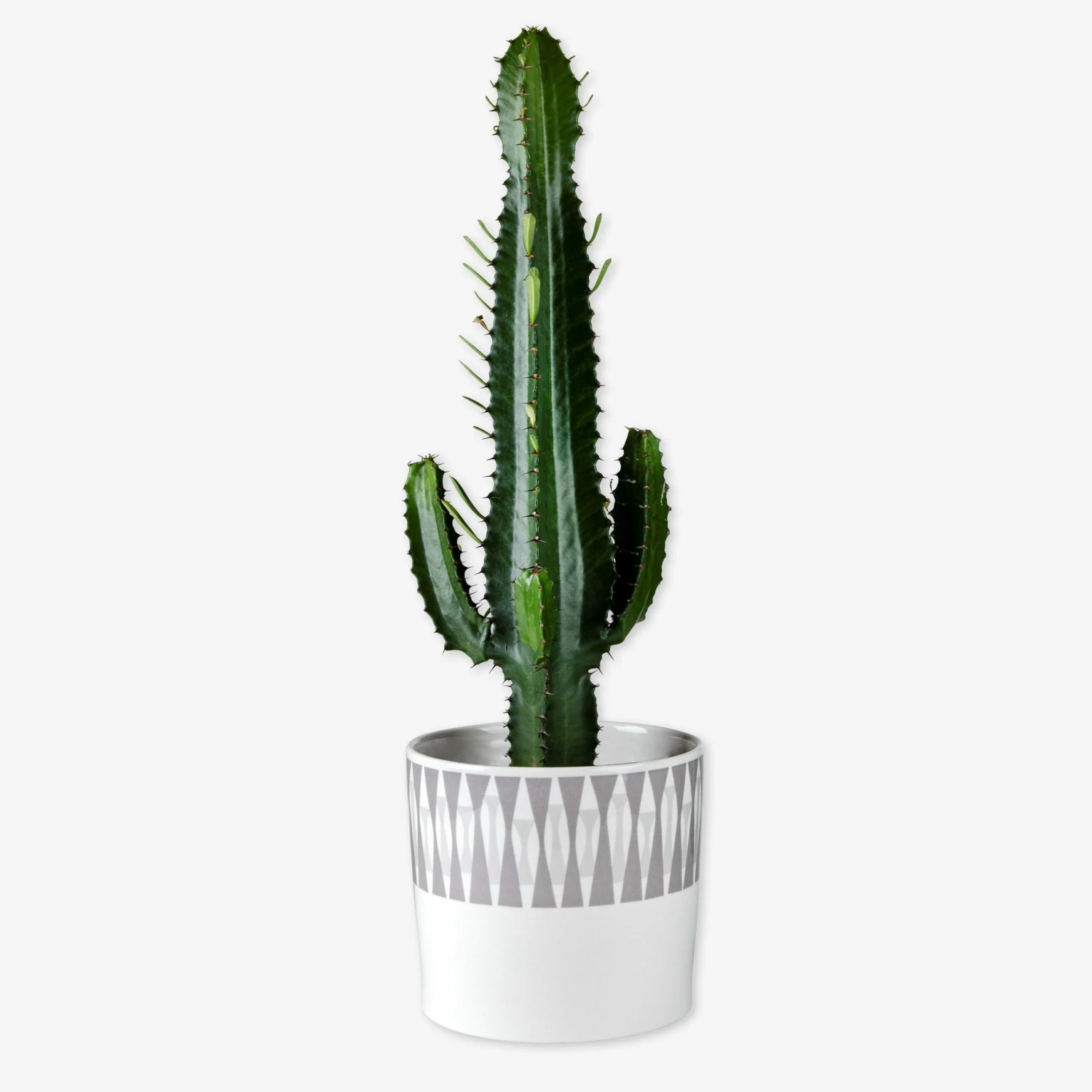 Blumentopf Stig Lindberg Diabolo 20 Cm Grau 4 Blumentopf Stig Lindberg Diabolo 20 Cm Grau – Bild 2