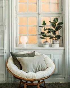 Blumentopf Stig Lindberg Diabolo 20 Cm Grau 11 Blumentopf Stig Lindberg Diabolo 20 Cm Grau -GRANIT Verkäufe 401974 36495