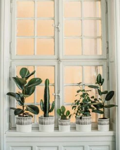 Blumentopf Stig Lindberg Diabolo 20 Cm Grau 13 Blumentopf Stig Lindberg Diabolo 20 Cm Grau -GRANIT Verkäufe 401974 36497