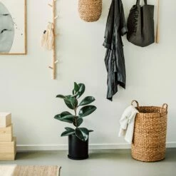 Korb Abaca Rund Griff 50 X 40 Cm 8 Korb Abaca Rund Griff 50 X 40 Cm -GRANIT Verkäufe 402013 35542