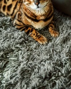 Rug Shaggy Undyed Wool 170x240 -GRANIT Verkäufe 402305 36401