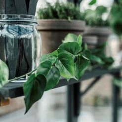 Artificial Garland Gullranka 190cm -GRANIT Verkäufe 402336 33915